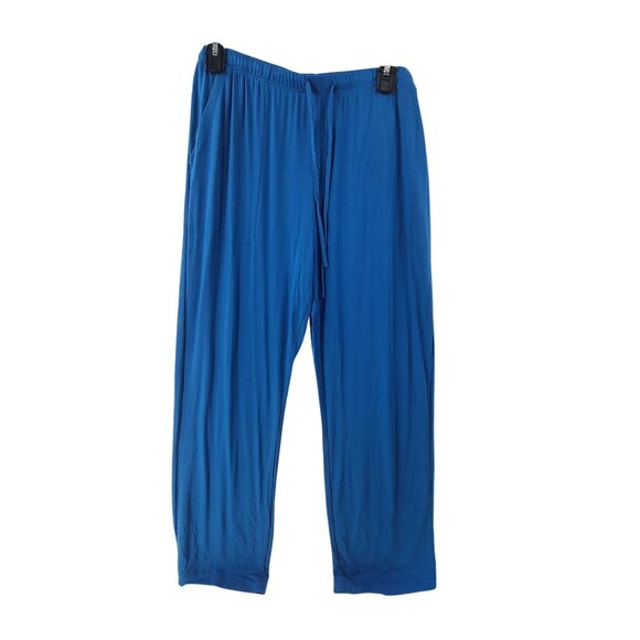Auden Other - Auden NWT Pants Cloundwear Sleepwear ajama Pants Blue Women's Size L